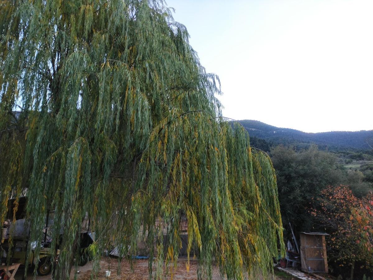 Oneiropagidasuites Kalavryta Bagian luar foto