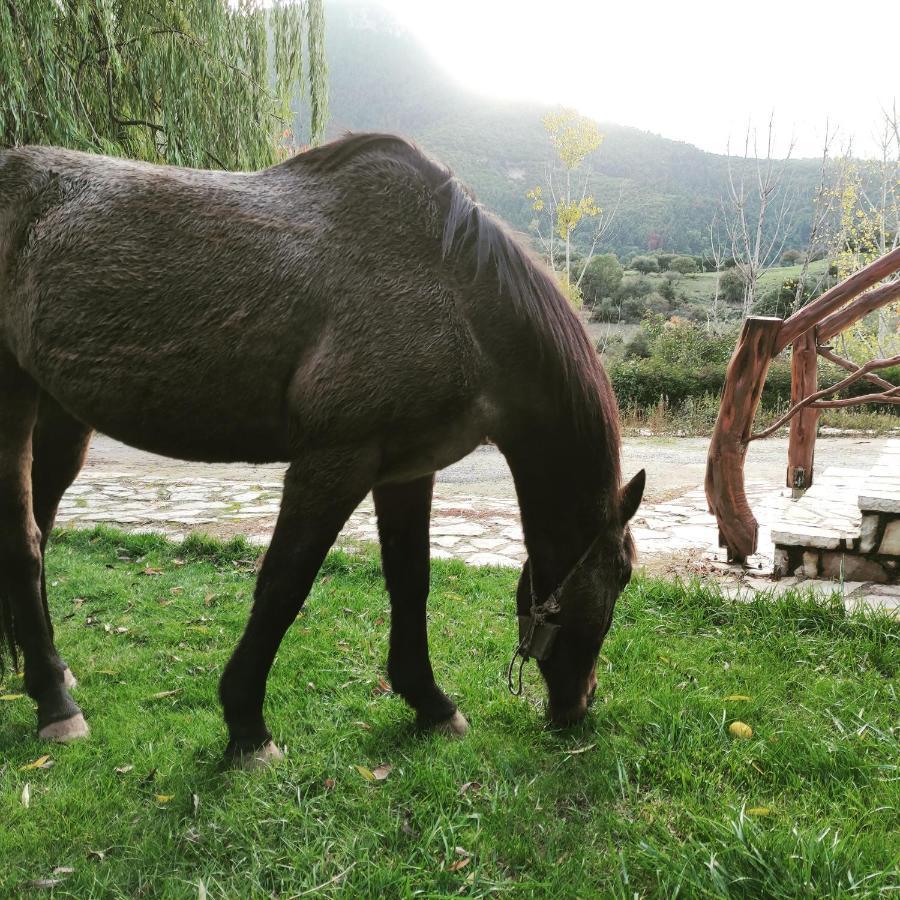 Oneiropagidasuites Kalavryta Bagian luar foto
