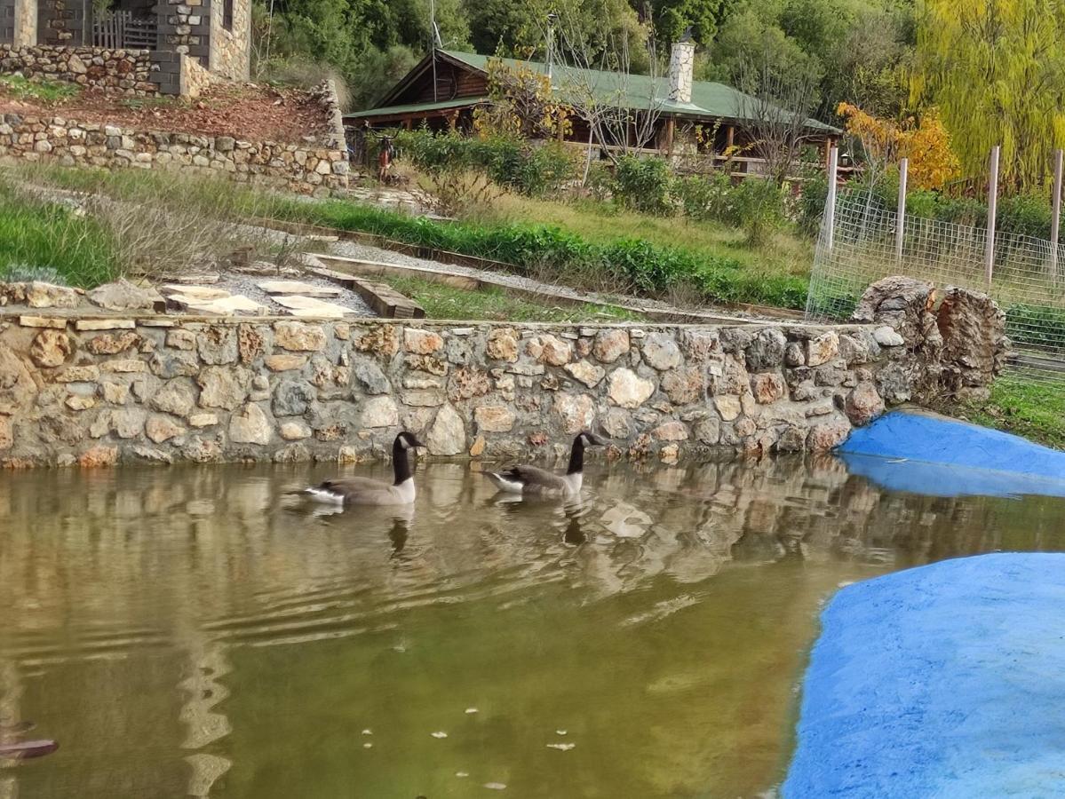 Oneiropagidasuites Kalavryta Bagian luar foto