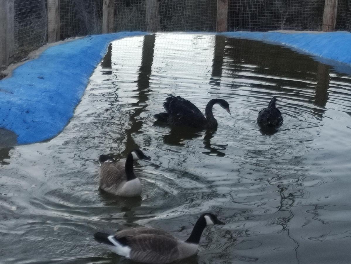 Oneiropagidasuites Kalavryta Bagian luar foto