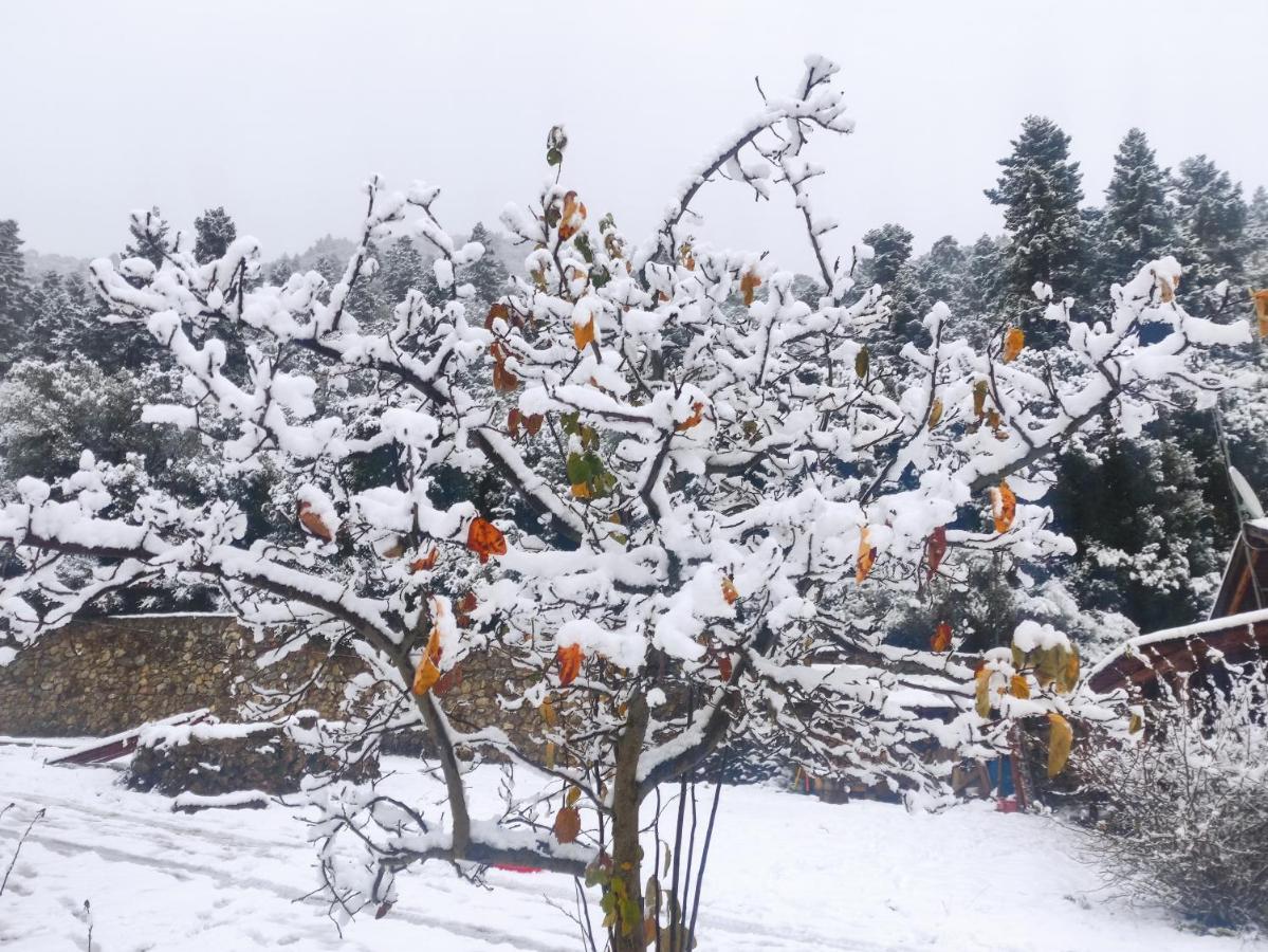 Oneiropagidasuites Kalavryta Bagian luar foto