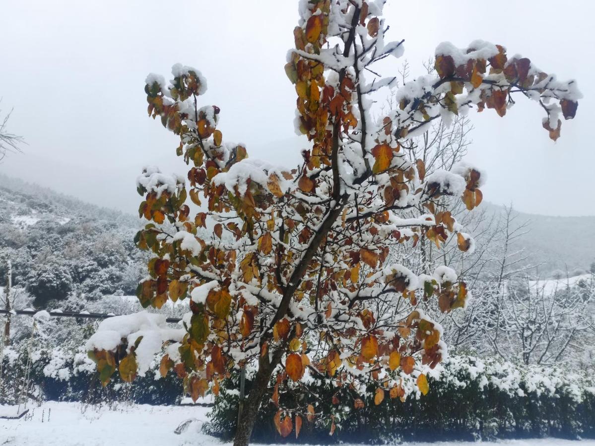 Oneiropagidasuites Kalavryta Bagian luar foto