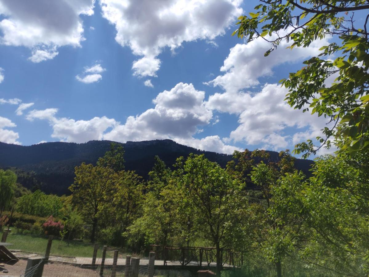 Oneiropagidasuites Kalavryta Bagian luar foto