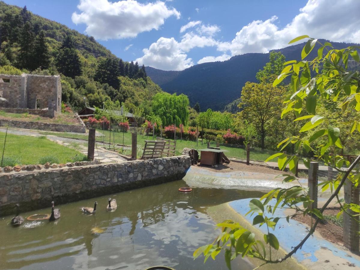 Oneiropagidasuites Kalavryta Bagian luar foto